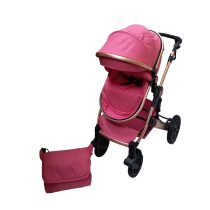 Carucior 2 in 1 roz